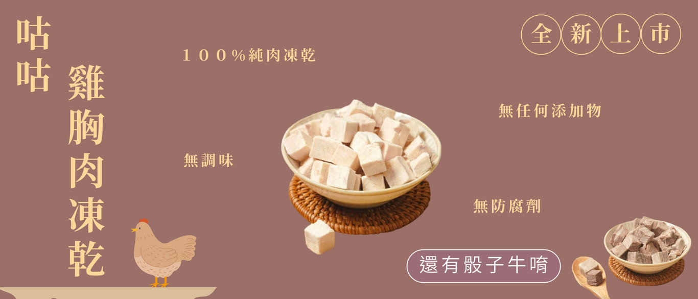 寵物老爹