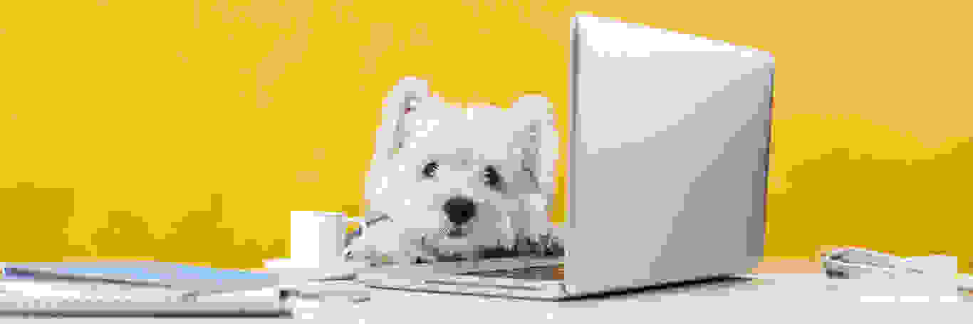 聯絡我們