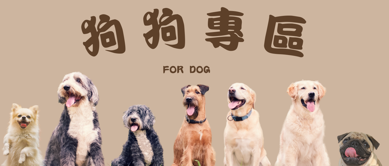 狗狗專區