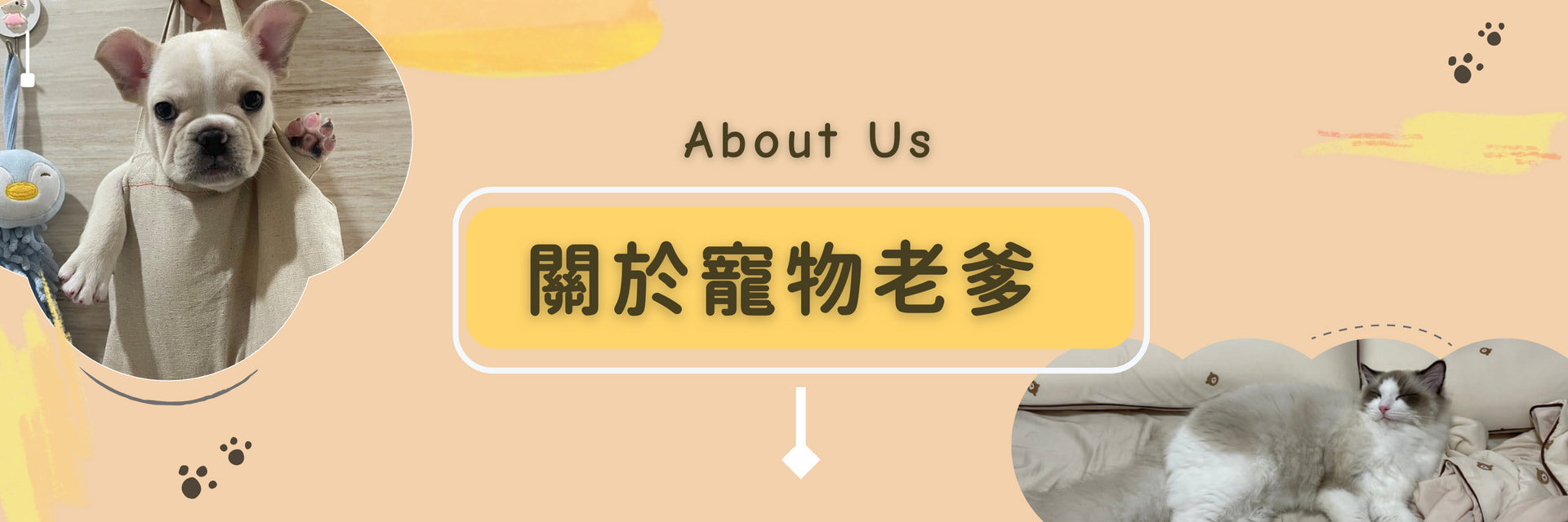 關於寵物老爹
